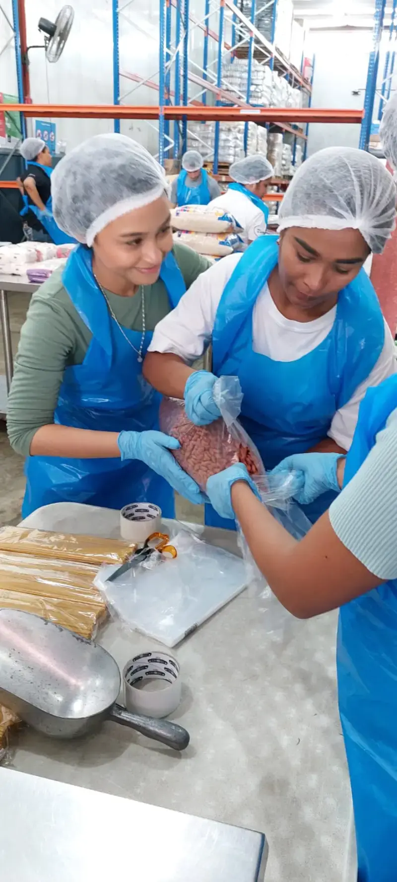 Voluntariado 6